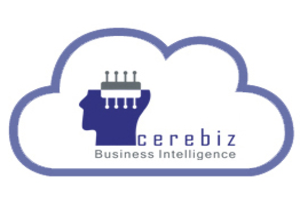 Cerebiz Cash EDI services